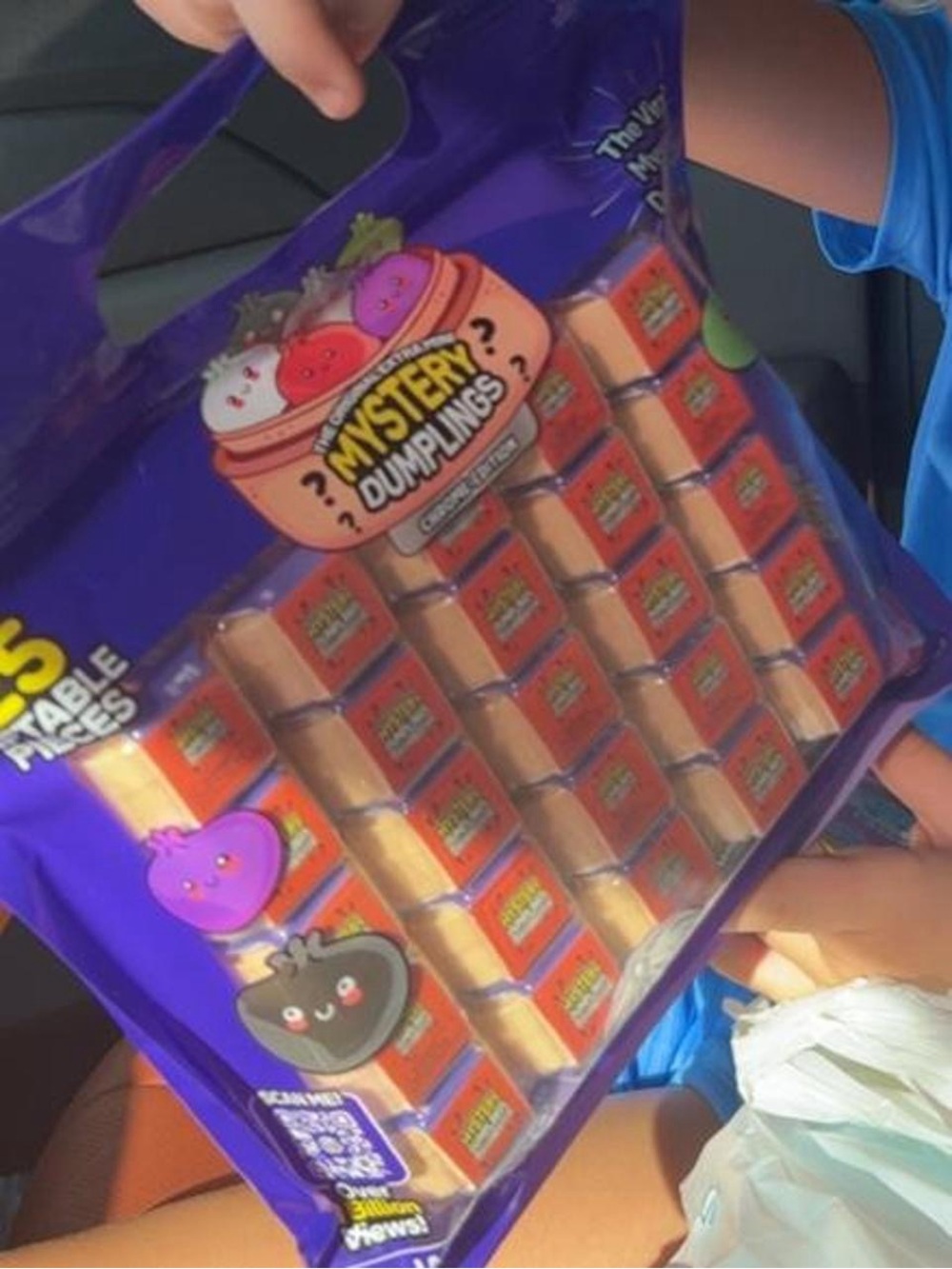 Mystery dumpling pack